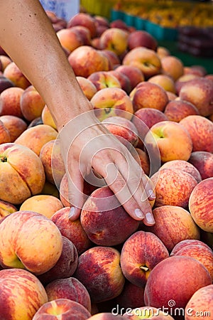 Organically grown Peaches at farmers market Stock Photo